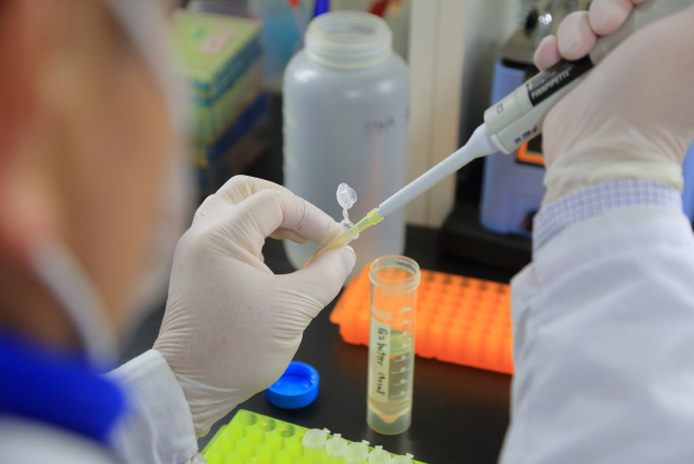 長崎大学大学院 水産・環境科学総合研究科の研究室